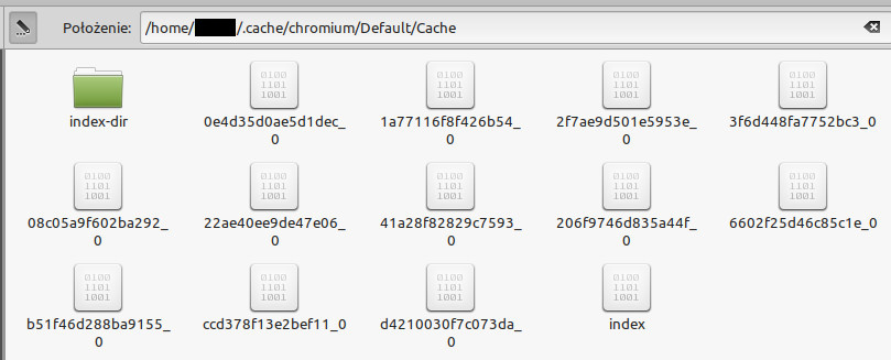 Zrzut ekranu pokazujący folder pamięci podręcznej dla Chromium. Tym razem znajduje się w nim kilkanaście plików, których miniaturki wyglądają jak małe kwadraty pokryte bladymi zerami i jedynkami.