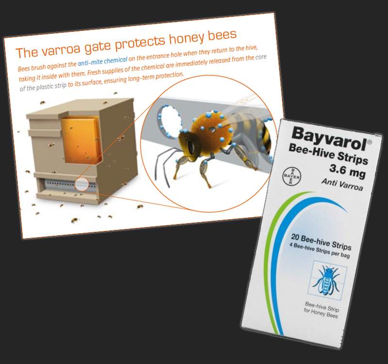 Zdjęcia i wizualizacje dwóch produktów Bayera do ochrony pszczół przed dręczami