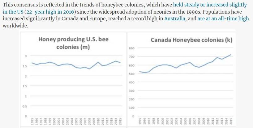 Zrzut ekranu pokazujący fragment tekstu mówiący, że liczebność pszczół rosła od czasu wprowadzenia neonikotynoidów. Poniżej widać dwa wykresy pokazujący stabilną, lekko rosnącą liczbę uli.