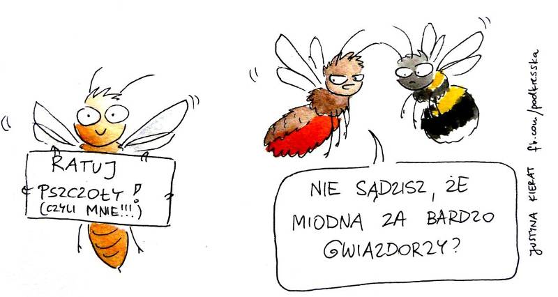 Pokolorowany rysunek pokazujący trzy pszczoły z ludzkimi minami na białym tle. Ta na pierwszym planie trzyma tabliczkę z napisem 'Ratuj pszczoły (czyli mnie!)'. Dwie z tyłu, mające symbolizować murarkę i trzmiela, są blisko siebie. Jedna mówi do drugiej: 'Nie sądzisz, że miodna za bardzo gwiazdorzy?'.