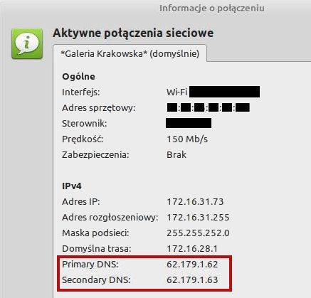 Zrzut ekranu okna z informacjami na temat hotspota w Galerii Krakowskiej. Czerwoną ramką otoczona pola zawierające liczbowe adresy DNS-ów