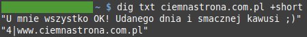 Zrzut ekranu z konsoli, pokazujący wpisane w nią polecenie 'dig txt ciemnastrona.com.pl +short'. Pod spodem widać treść dwóch rekordów tekstowych, z których jeden to nazwa strony, a drugi mówi 'U mnie wszystko OK! Udanego dnia i smacznej kawusi'.