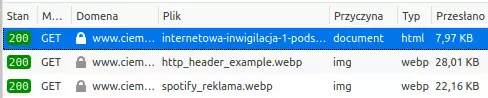 Lista stron, do których przeglądarka wysłała żądanie. Zaznaczony główny plik html.