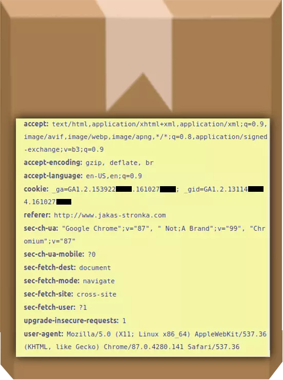 Lista nagłówków HTTP stylizowana na etykietę na paczce. Między innymi: User Agent, referer, pliki cookies, język.