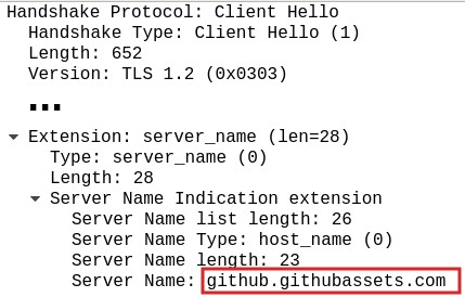 Przycięty ekran z programu Wireshark, w którym wyróżniono nazwę domeny Github Assets w głębi jednego z pakietów
