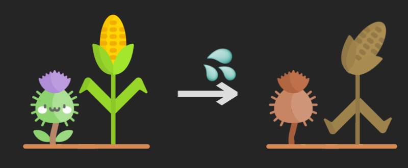 Schemat pokazujący po lewej stronie dwie rysunkowe rośliny, oset i kukurydzę obok siebie. Następnie mamy strzałkę, a nad nią ikonę kropli substancji. Po prawej stronie strzałki mamy te same dwie rośliny, ale wyschnięte i brązowe.