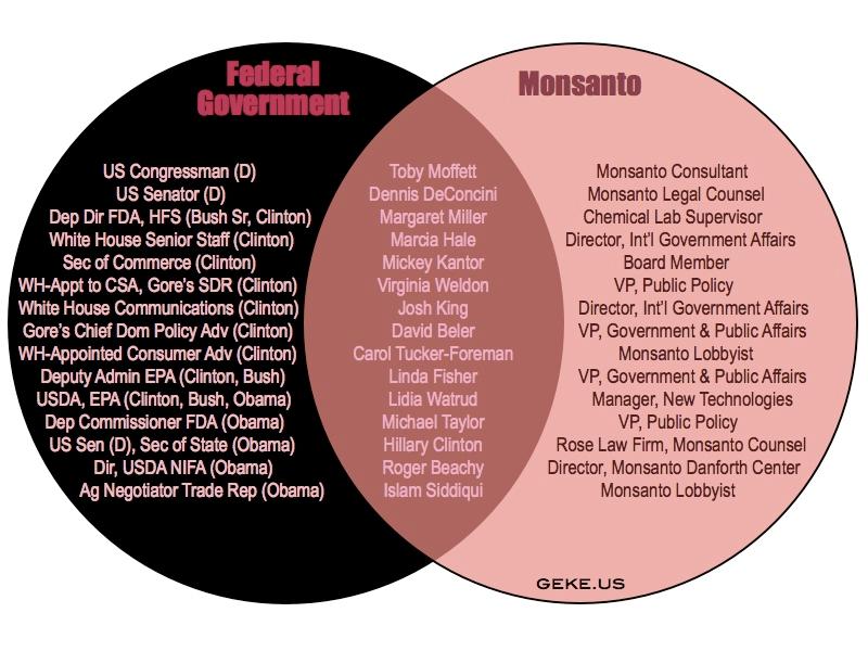 Diagram Venna, którego jedną częścią jest Monsanto, a drugą agencje rządowe. Wewnątrz przecięcia tych dwóch zbiorów, pośrodku, znajdują się nazwiska polityków.