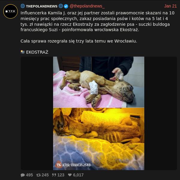 Tweet konta Polandnews mówiący o tym, że influencerka i jej partner dostali wyrok za zagłodzenie psa. Znajduje się tam również wzmianka o miejscu (Wrocław) i źródle (organizacja Ekostraż), a także dwa zdjęcia leżącego, wychudzonego psa