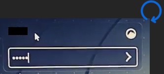 Zrzut ekranu pokazujący pole na hasło użytkownika na ekranie logowania. Obok znajduje się strzałka prowadząca od pola z powrotem ku niemu.