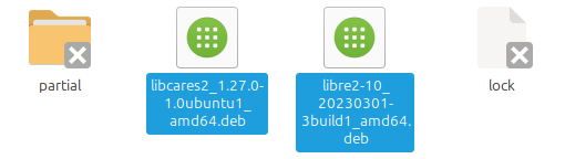 Wnętrze menedżera plików. Dwa pliki DEB są zaznaczone, zaś partial i lock nie są.