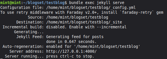 Zrzut ekranu z konsoli, pokazujący informację o załadowaniu strony na wewnętrzny serwer.